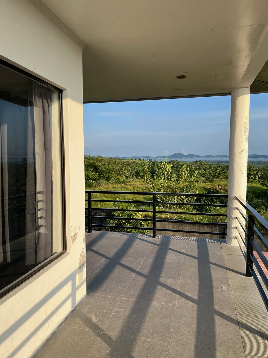 Property garden view